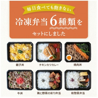 お試し　冷凍弁当　6種セット【配送不可地域：離島】
