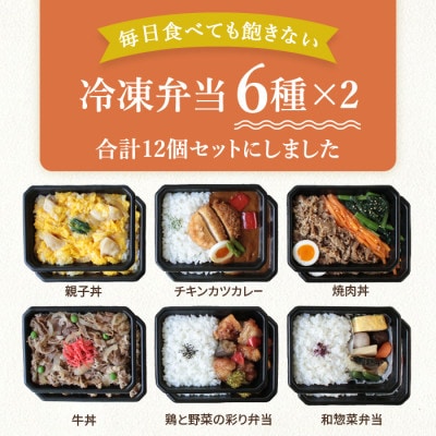 冷凍弁当6種×2食　12食入【配送不可地域：離島】