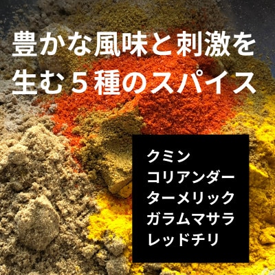 発酵スパイスカレー32個 ★生100%の発酵の力で生まれる「極旨味」でクセになる旨辛 グルテンフリー【配送不可地域：離島】