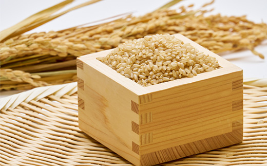 《白山鶴来の恵み》　稲ほ舎の銀のどじょう　玄米5kg