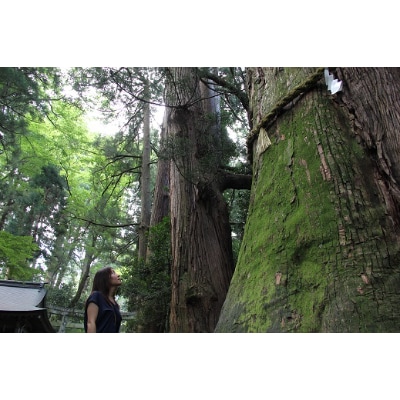 白山比め神社ガイド付き昇殿参拝