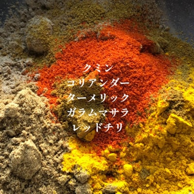 発酵スパイスカレー3個 ★5種のスパイスと白山麓のW発酵 芳醇な香り＆クセになる旨辛 グルテンフリー【配送不可地域：離島】