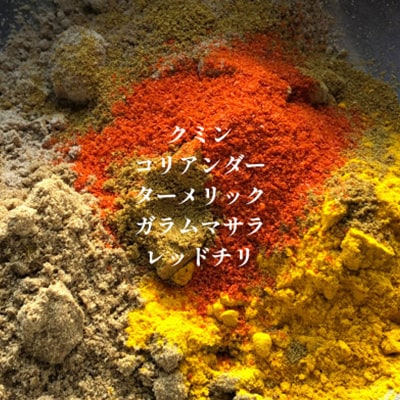 発酵スパイスカレー10個★5種のスパイスと白山麓のW発酵 芳醇な香り＆クセになる旨辛 グルテンフリー【配送不可地域：離島】