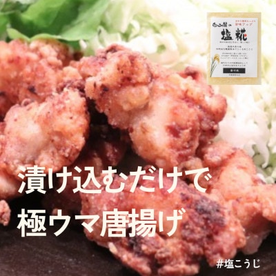 糀はじめてセット★発酵食の初心者ができる簡単レシピ付★お試しパックで失敗ナシ【配送不可地域：離島】