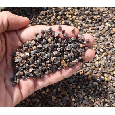 丸いも入り　白山麓そばセット(8食分)