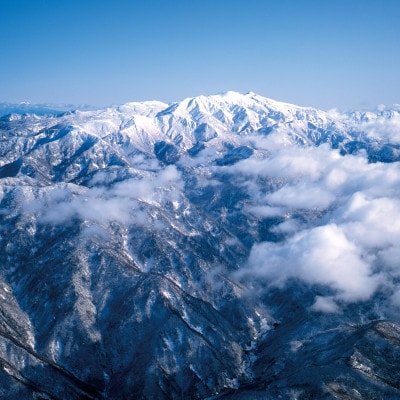 SHIRA・YAMA・YAオリジナル　GI白山　3本セット