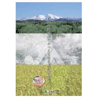 お手軽七分かゆ　「千代ちゃんのおかゆ」　パックおかゆ(250g×12パック)