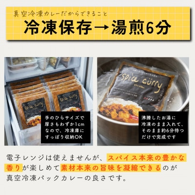 発酵スパイスカレー10個 ★白山麓のW発酵とスパイス5種  クセになる旨辛 グルテンフリー＆無添加【配送不可地域：離島】