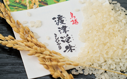 《高級日本料理店採用》蛍の里「渡津米」白米5kg・栽培期間中農薬化学肥料70%減