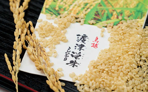 《高級日本料理店採用》蛍の里「渡津米」玄米5kg・栽培期間中農薬化学肥料70%減