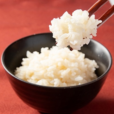 幸せの健康ご飯　12個入り