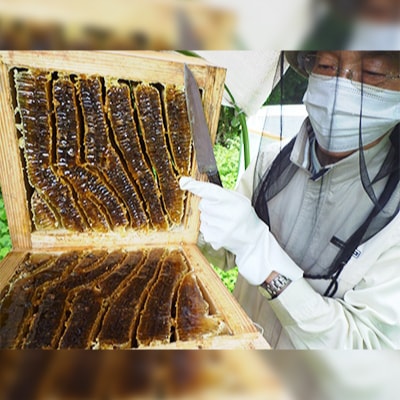 石川県白山市産　純粋日本はちみつ　白山ひめみつ　270g