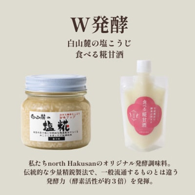 発酵スパイスカレー10個★5種のスパイスと白山麓のW発酵 芳醇な香り＆クセになる旨辛 グルテンフリー【配送不可地域：離島】