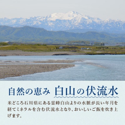 冷凍弁当6種×2食　12食入【配送不可地域：離島】