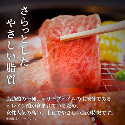 【和牛セレブ】能登牛 牛肩(ウデ) 焼肉 500g(200g+300g)【配送不可地域：離島】