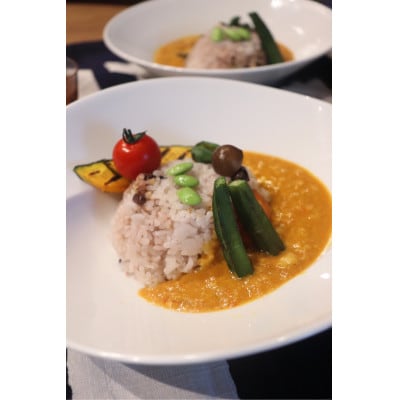 発酵スパイスカレー21個 ★生100%の発酵の力で生まれる「極旨味」でクセになる旨辛 グルテンフリー【配送不可地域：離島】