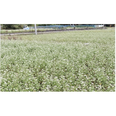 丸いも入り　白山麓そばセット(8食分)