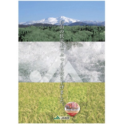 ふっくらもちもち「あずきちゃんの赤飯」　パック赤飯(160g×12パック)