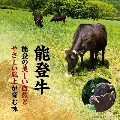 【能登牛】極上ハンバーグ　150g×8ヶ【配送不可地域：離島】
