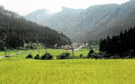 《高級日本料理店採用》蛍の里「渡津米」玄米5kg・栽培期間中農薬化学肥料70%減