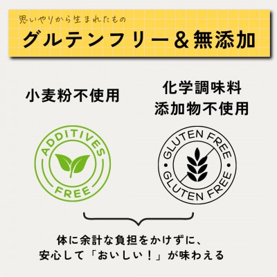 発酵スパイスカレー32個 ★白山麓のW発酵とスパイス5種  クセになる旨辛 グルテンフリー＆無添加【配送不可地域：離島】