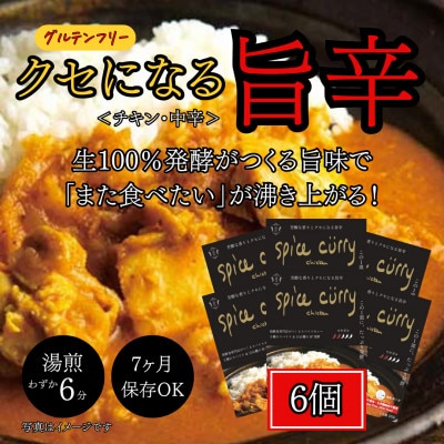 発酵スパイスカレー6個 ★5種のスパイスと白山麓のW発酵 芳醇な香り＆クセになる旨辛 グルテンフリー【配送不可地域：離島】