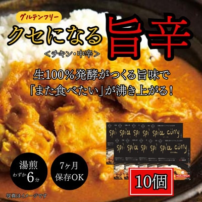 発酵スパイスカレー10個★5種のスパイスと白山麓のW発酵 芳醇な香り＆クセになる旨辛 グルテンフリー【配送不可地域：離島】