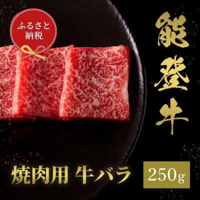 【和牛セレブ】能登牛 牛バラ 焼肉 250g【配送不可地域：離島】