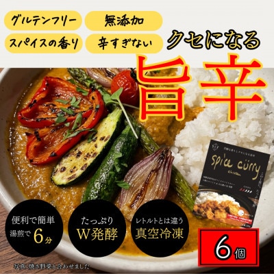 発酵スパイスカレー6個 ★白山麓のW発酵とスパイス5種  クセになる旨辛 グルテンフリー＆無添加【配送不可地域：離島】