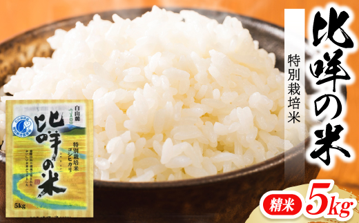 特別栽培米　ヒメの米(白山麓コシヒカリ)精米5kg