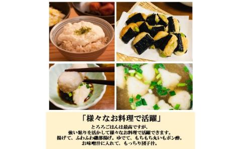 【日本農業賞大賞】加賀丸いもハッピーパック2kg（3～6個）