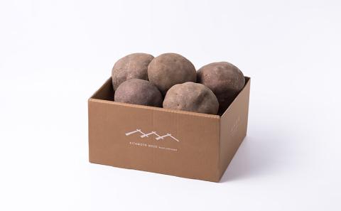 令和7年度産 加賀丸いも 2.5kg