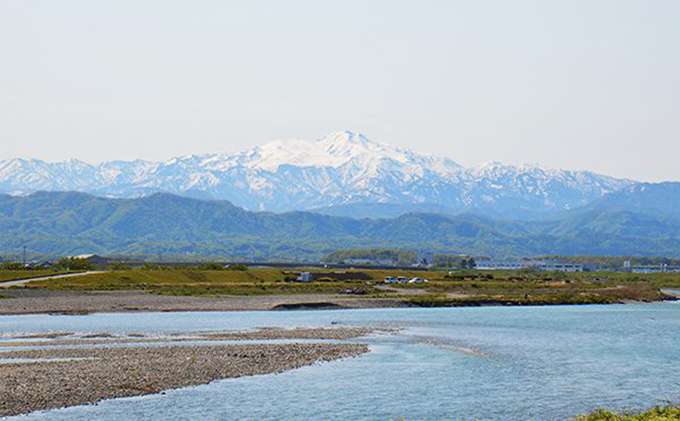 石川県産コシヒカリ 姫九谷(精米) 5kg
