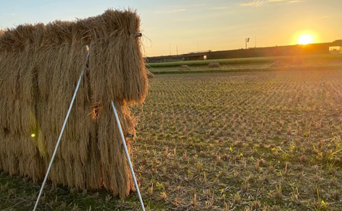 天日干有機米こしひかり「天地の誉」玄米5kg