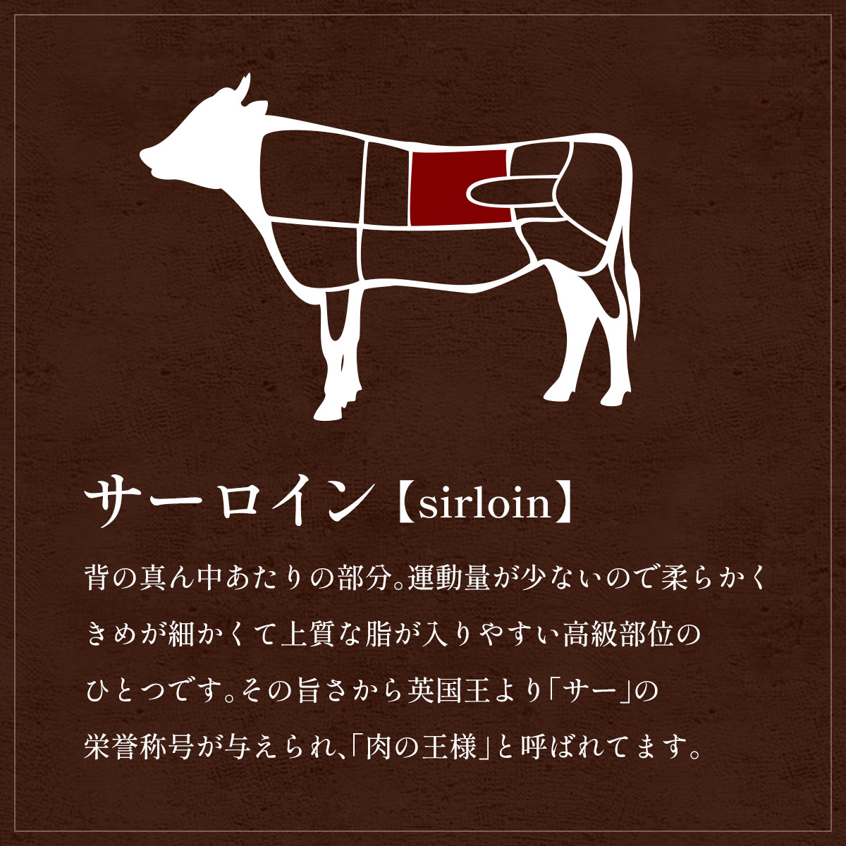 肉【和牛セレブ】能登牛 サーロインステーキ 240g×３枚 黒毛和牛 サーロイン ステーキ 霜降り ギフト 石川県 能美市
