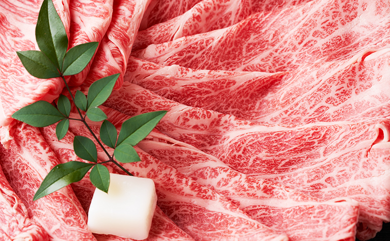 【1月中旬以降発送】A5・A4ランク　石川県産　黒毛和牛　肩ロース　すきやき　しゃぶしゃぶ　能登牛