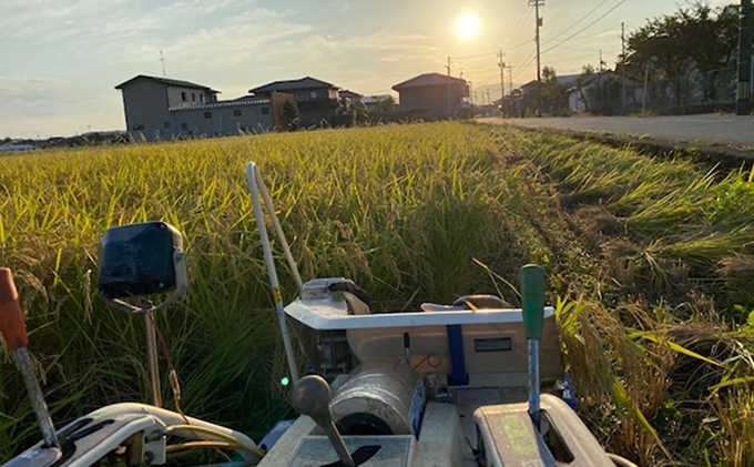 天日干有機米こしひかり「天地の誉」玄米5kg