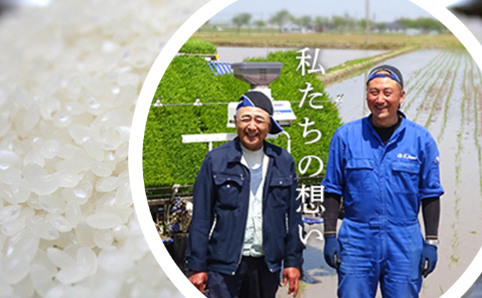 令和7年度産　ミルキークイーン（白米10kg） お米 ライス 精米 ブランド米 ご飯 炭水化物 毎食 朝ごはん ランチ 昼ごはん 夜ごはん 食卓 主食 おにぎり 直送 低農薬