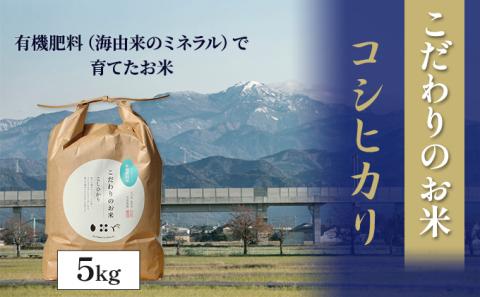【4カ月連続でお届け】北本農場 「こだわりのお米」 令和7年度産　精米 5kg
