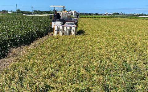 北本農場こだわりのお米令和7年度産コシヒカリ精米5kg漢方肥料米