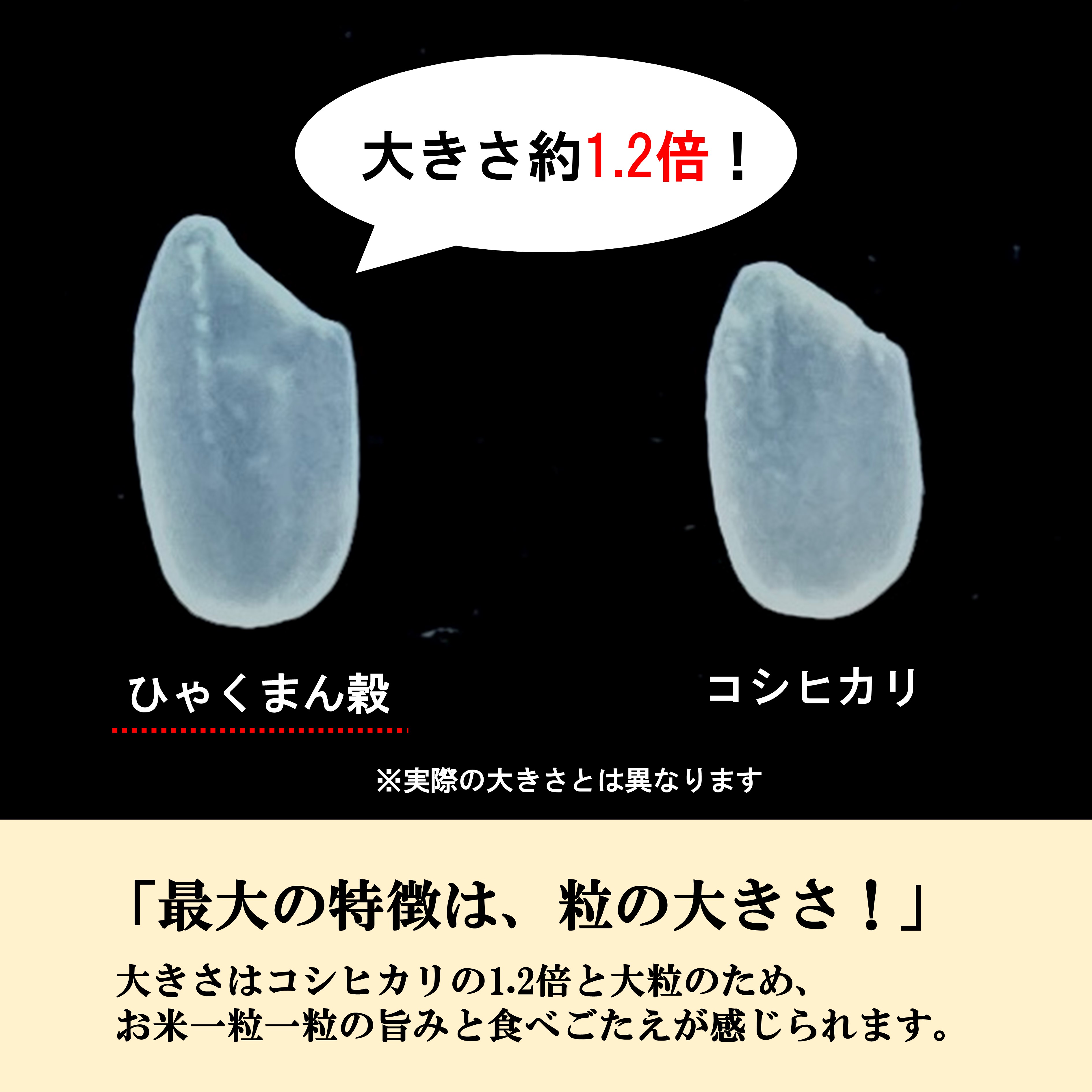 【令和7年産】【日本農業賞大賞】ひゃくまん穀3kg精白米 能美市 お米 米