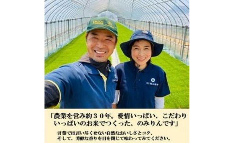 おいしい本みりん【のみりん】6本 調味料 お酒