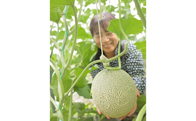 メロン農家のメロン・ダックワーズ10個入