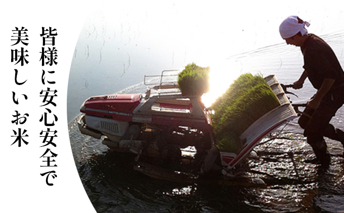 令和7年度産ミルキークイーン（10kg）6カ月定期 お米 ライス 精米 ブランド米 ご飯 炭水化物 毎食 朝ごはん ランチ 昼ごはん 夜ごはん 食卓 主食 おにぎり 直送 低農薬