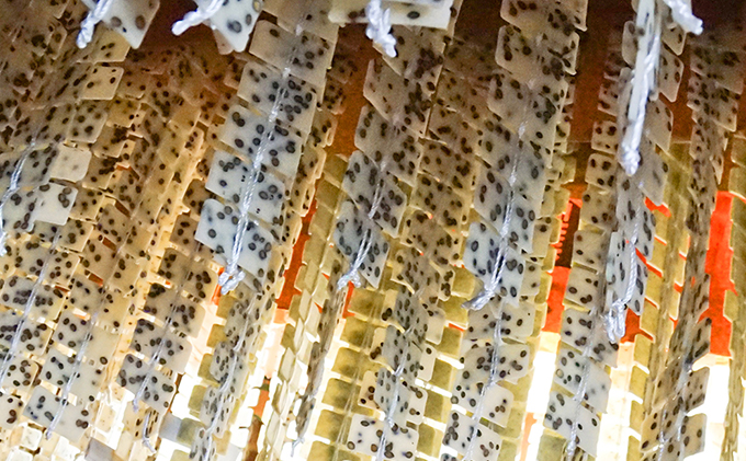 おこめやさんの揚げかきもち　6枚入り6ヶセット