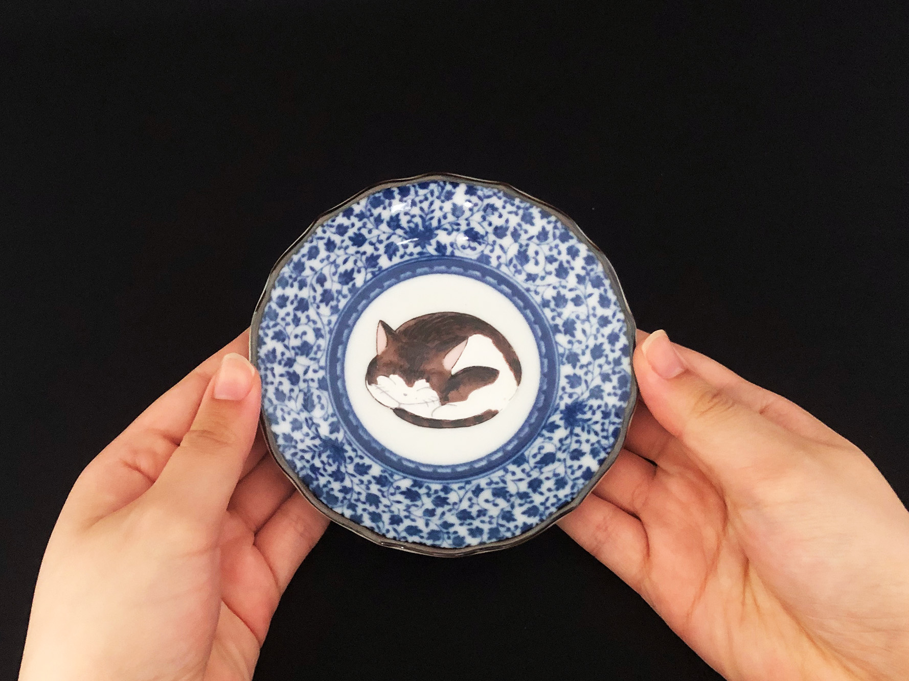 九谷焼　4号皿揃　眠り猫（5枚セット） a01