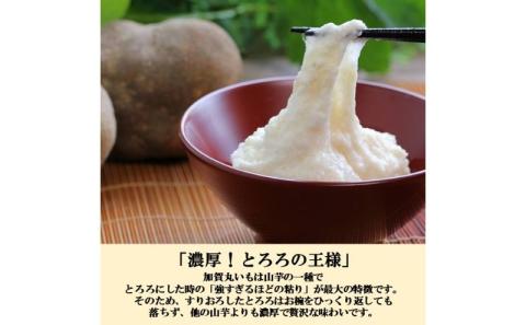 【日本農業賞大賞】加賀丸いもハッピーパック2kg（3～6個）