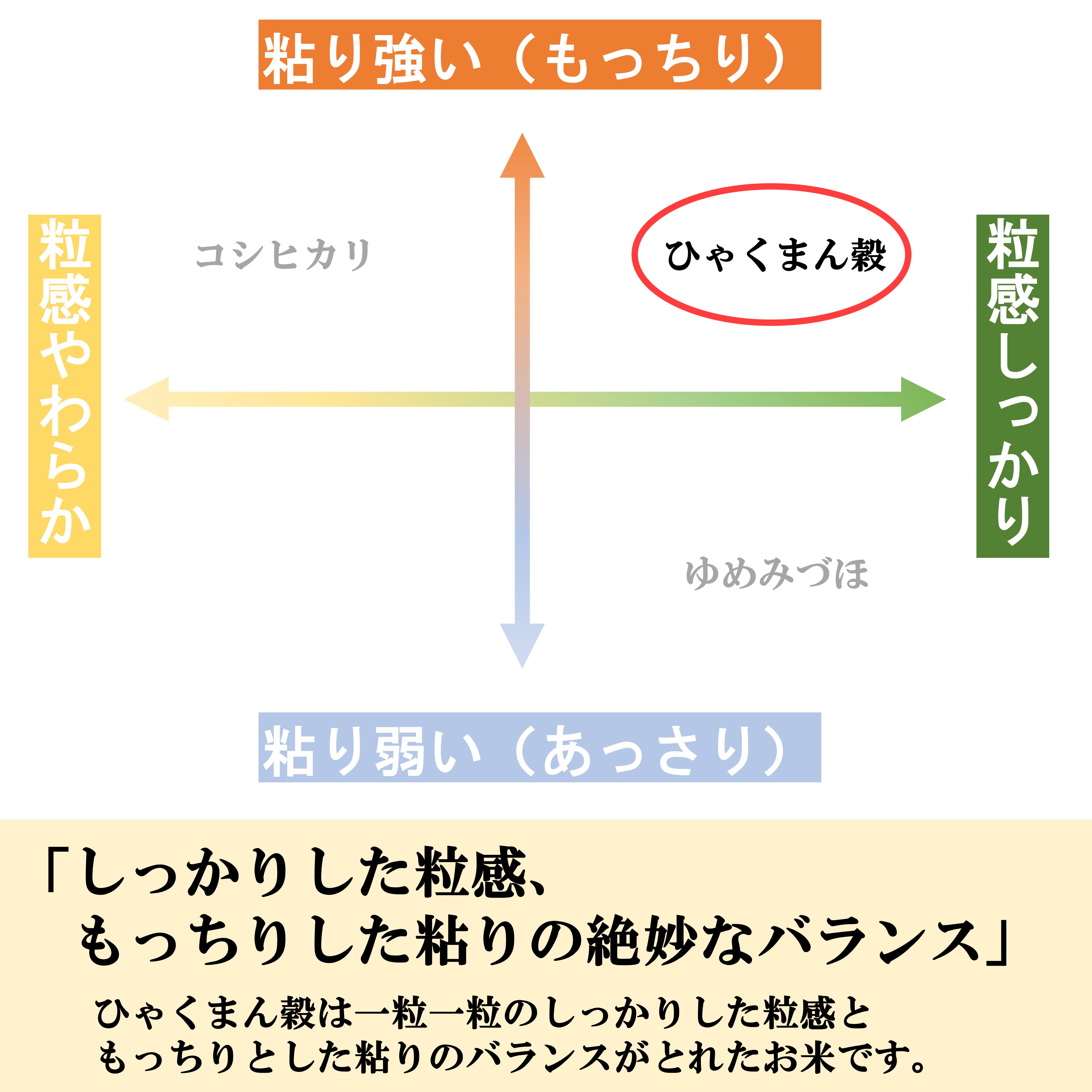 【令和7年産】【日本農業賞大賞】ひゃくまん穀3kg精白米 能美市 お米 米