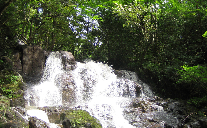 【能登半島地震復興支援】能美市地域限定旅行クーポン5万円分