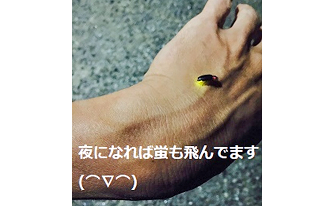 自然農法米こしひかり「自然の恵み」玄米5kg×2個《特別栽培米》